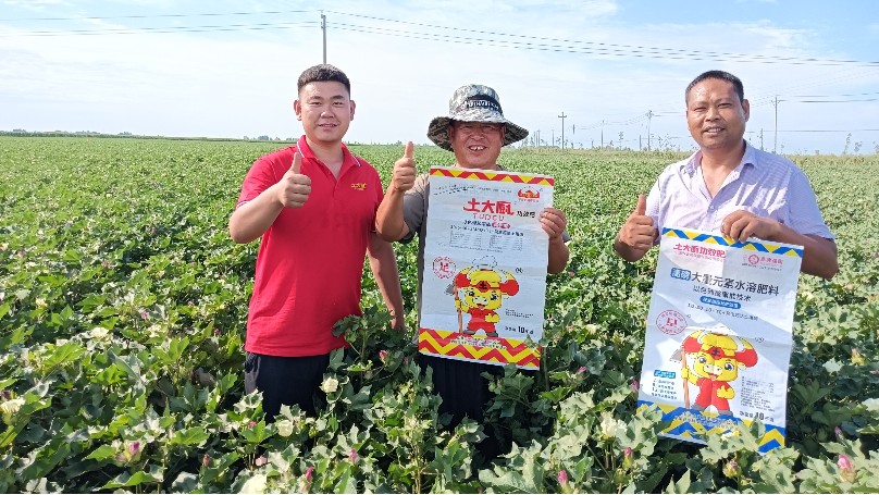 棉花花铃期-新疆张老板