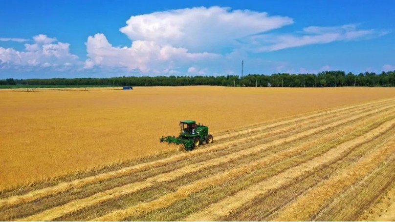 农业现代化功效肥，作物痛点全方位解决方案实现科技强农、共同富裕！