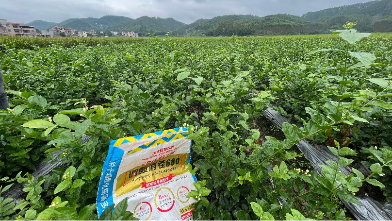 微生物菌剂如何选择？看这几方面（下）