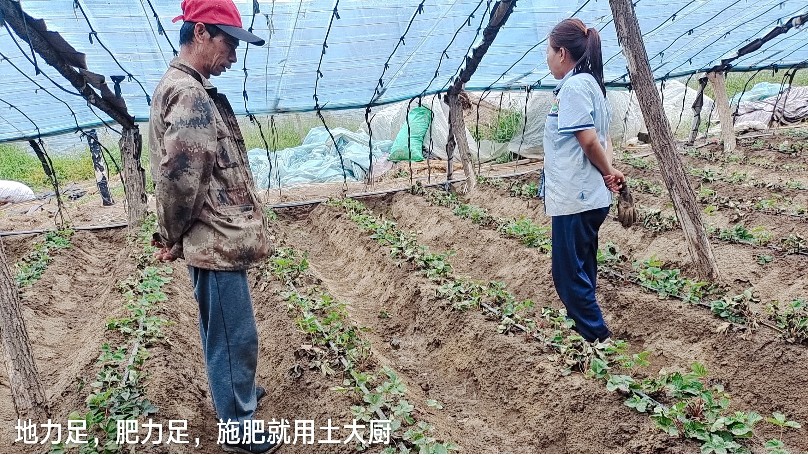 水溶肥选效果好的，经销商见证