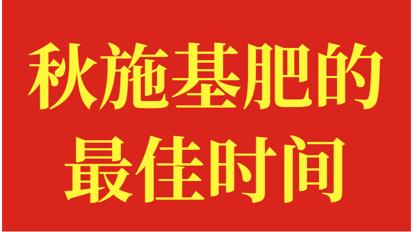 秋施基肥的最佳时间？一起学习方法