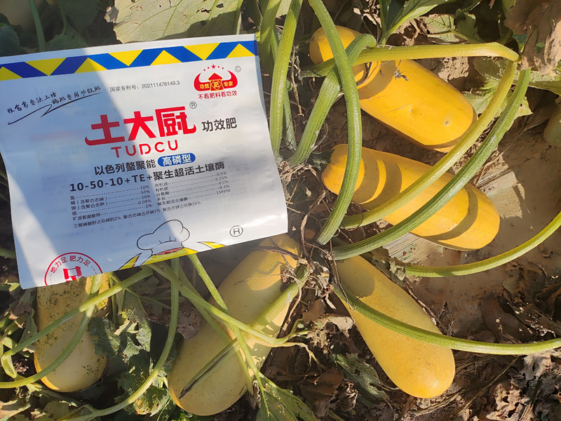土大厨功效水溶肥—新疆葫芦瓜