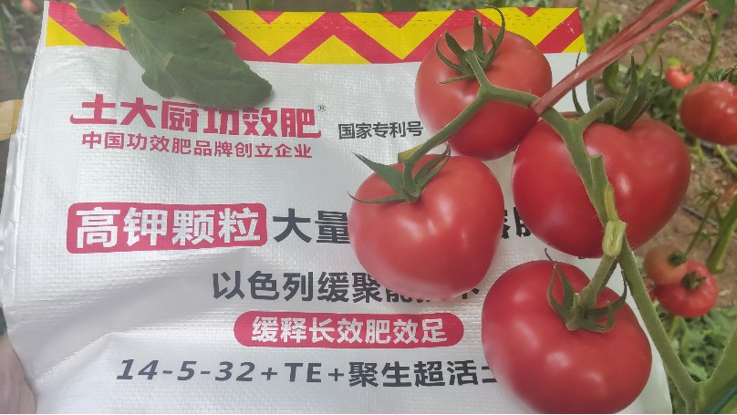 大量元素水溶肥—江苏番茄